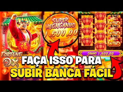 sonhar com touro manso tempo qual bicho jogar